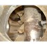 14 Cu Ft Strong Scott Paddle Dryer