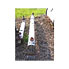 15 Sq Ft Rubicon Ind. Stainless Steel Shell & Tube Heat Exchanger