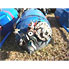 200 Gal Whiting Metals Stainless Steel Reactor