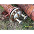 40 Sq Ft JFD Tube & Coil productions  INC.  Stainless Steel Shell & Tube Heat Exchanger