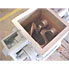5 Gal Readco Sigma Blade Mixer