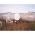 12000 Gal Lubbock Tank Carbon Steel Tank