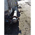 147 Sq Ft Ward Tank Stainless Steel Shell & Tube Heat Exchanger