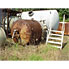 1000 Gal Speco Stainless Steel Reactor