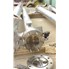 36.5 Sq Ft Manning & Lewis Stainless Steel Shell & Tube Heat Exchanger