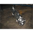 14 Sq Ft Allegheny Bradford Stainless Steel Shell & Tube Heat Exchanger