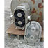 5 GPM Ladish Tri Clover SS Positive Displacement Pump
