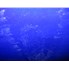 5000 Gal Pfaudler Glass Lined Tank