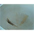 0.78 Sq Meter Hathernware Nutsche Filter