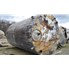 9400 Gal Stainless Steel Tank