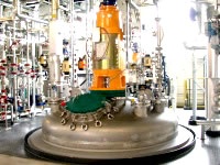 Performing and Managing a $12,000,000 Comprehensive Plant Closure Project