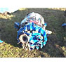 De Dietrich 30 GAL Glass Lined (Body Only) Reactors