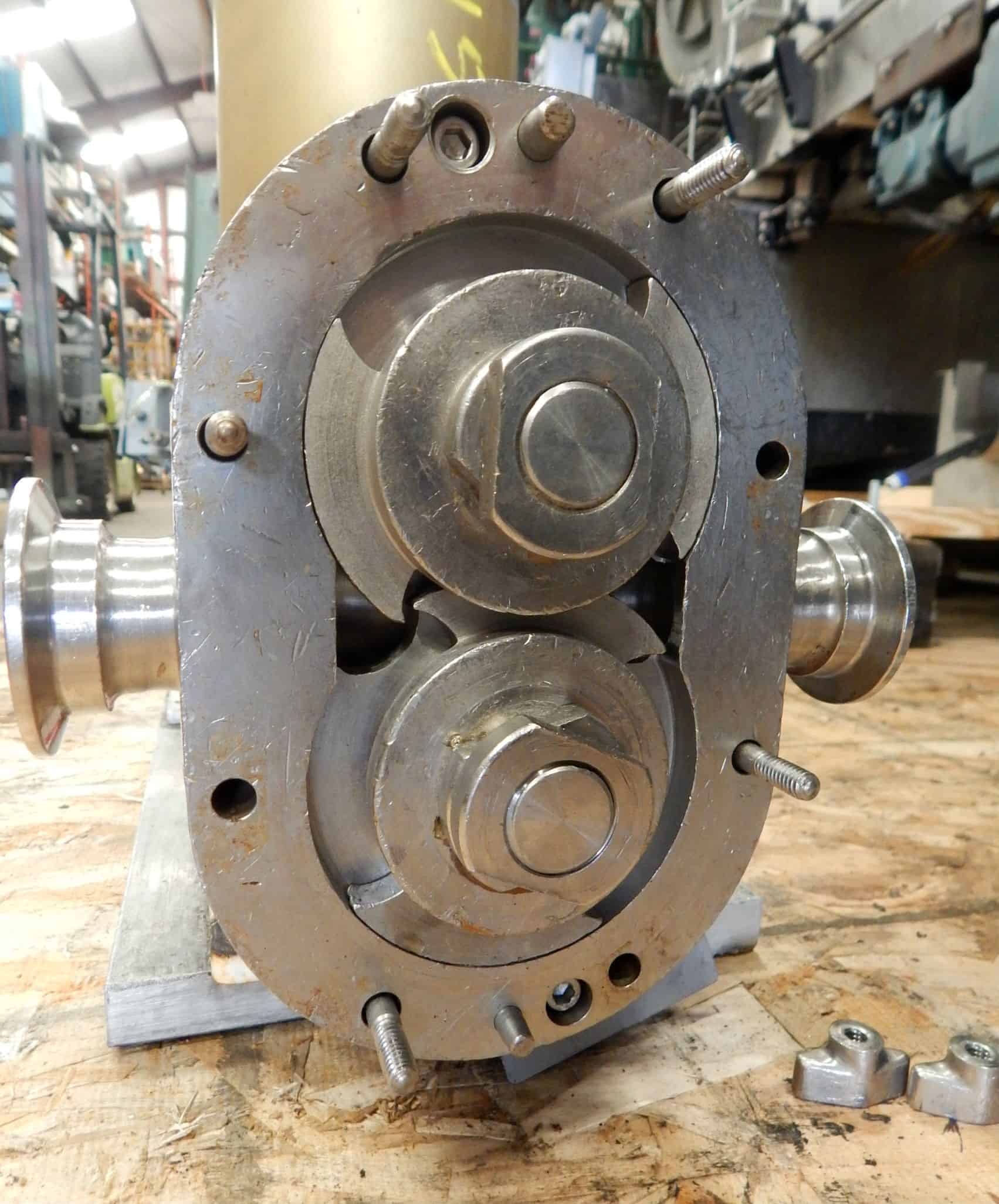 6 GPM Wright Flow Technologies 316-SS Positive Displacement Pump ...
