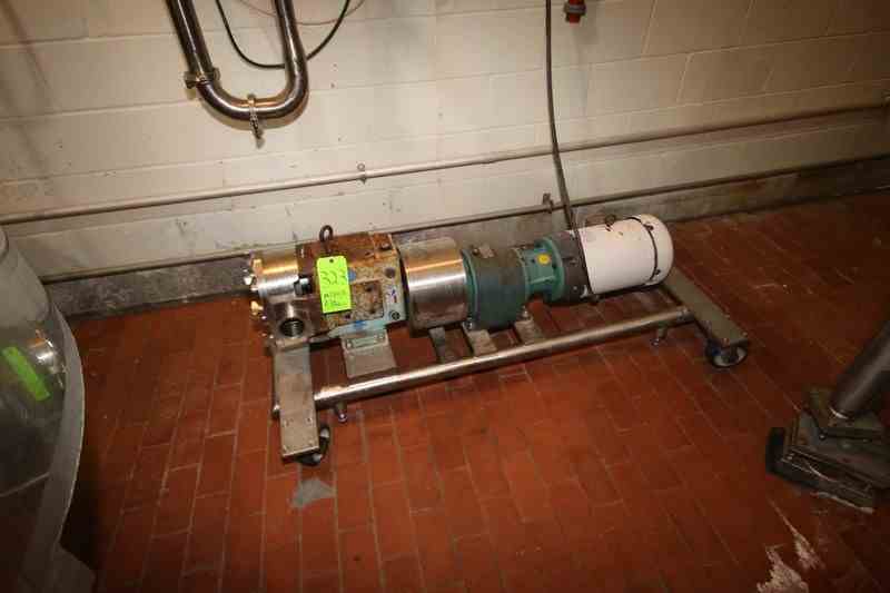 10 HP WCB SS Positive Displacement Pump