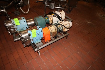 10 HP WCB SS Positive Displacement Pump