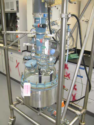 30 Gal Buchi Glass Lined Reactor