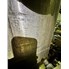 120 Gallon JBF 316L SS Pressure Vessel