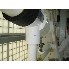 15 Sq Ft Astro Metallurgical Tantalum Shell & Tube Heat Exchanger