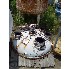 200 Gal Pfaudler Glass Lined Tank