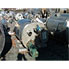 10000 Gal Carbon Steel Tank