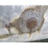 36500 Gal Flint Steel Horizontal Carbon Steel Pressure Vessel