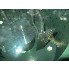 36 " Dia Western States  Basket Centrifuges