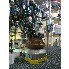 50 Gal Pfaudler Glass Lined Reactor