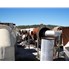 Kinergy 54 " Wide Fluid Bed Dryer
