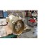 Fristam 125 GPM Stainless Steel Centrifugal Pump