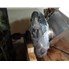 Gemco 75 Cu Ft Double Cone Mixer