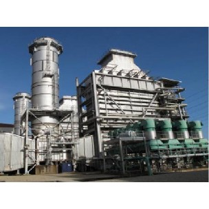 cogeneration 1232 mw